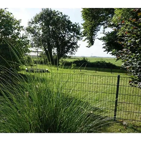 North Seaflair Og, Wiarden